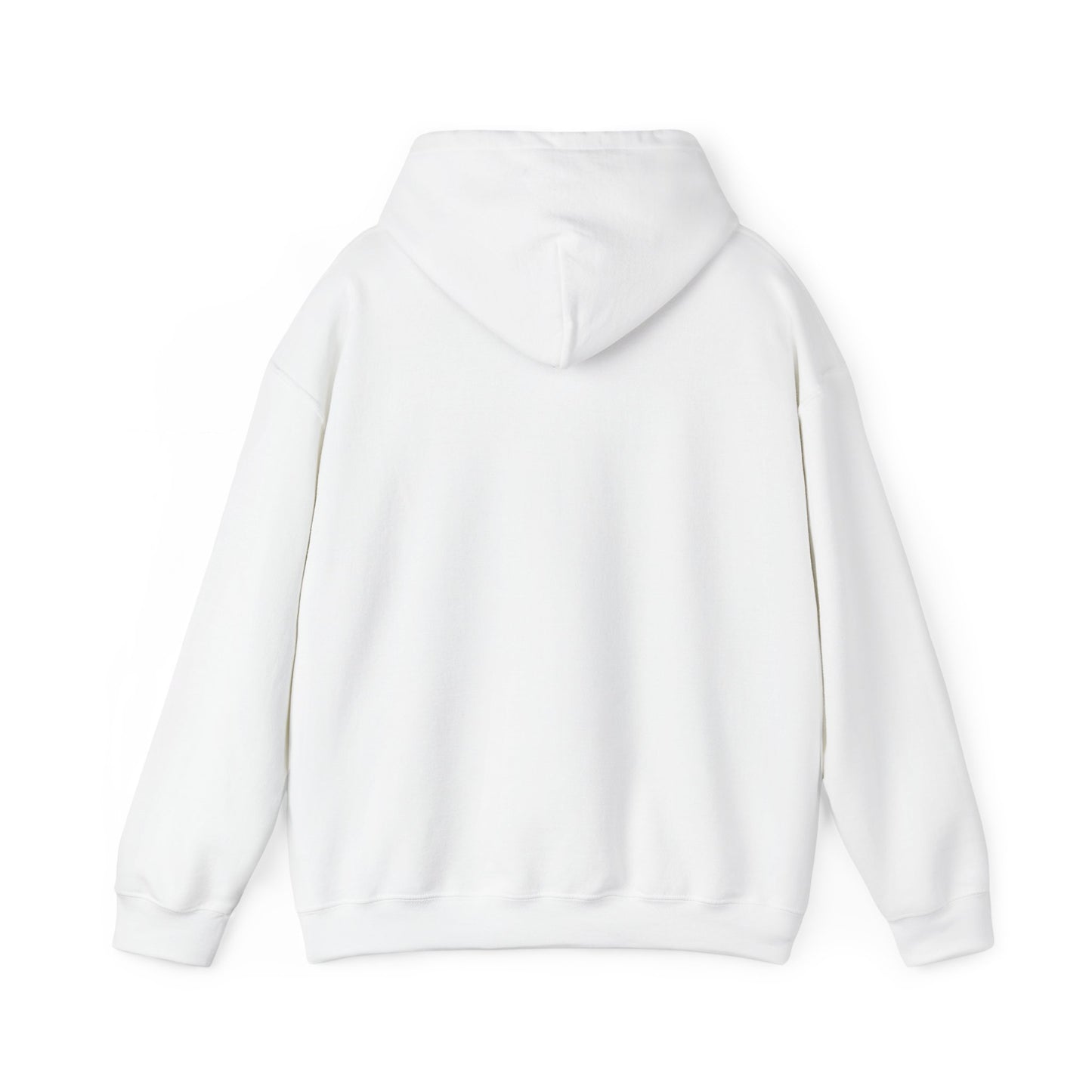 Hoodie — Bearded Racc Co Chillin (Bearded Racc Co)