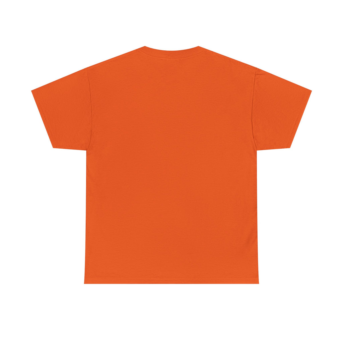 Trick or Treat T-Shirt - Bearded Racc (Bearded Racc Co)