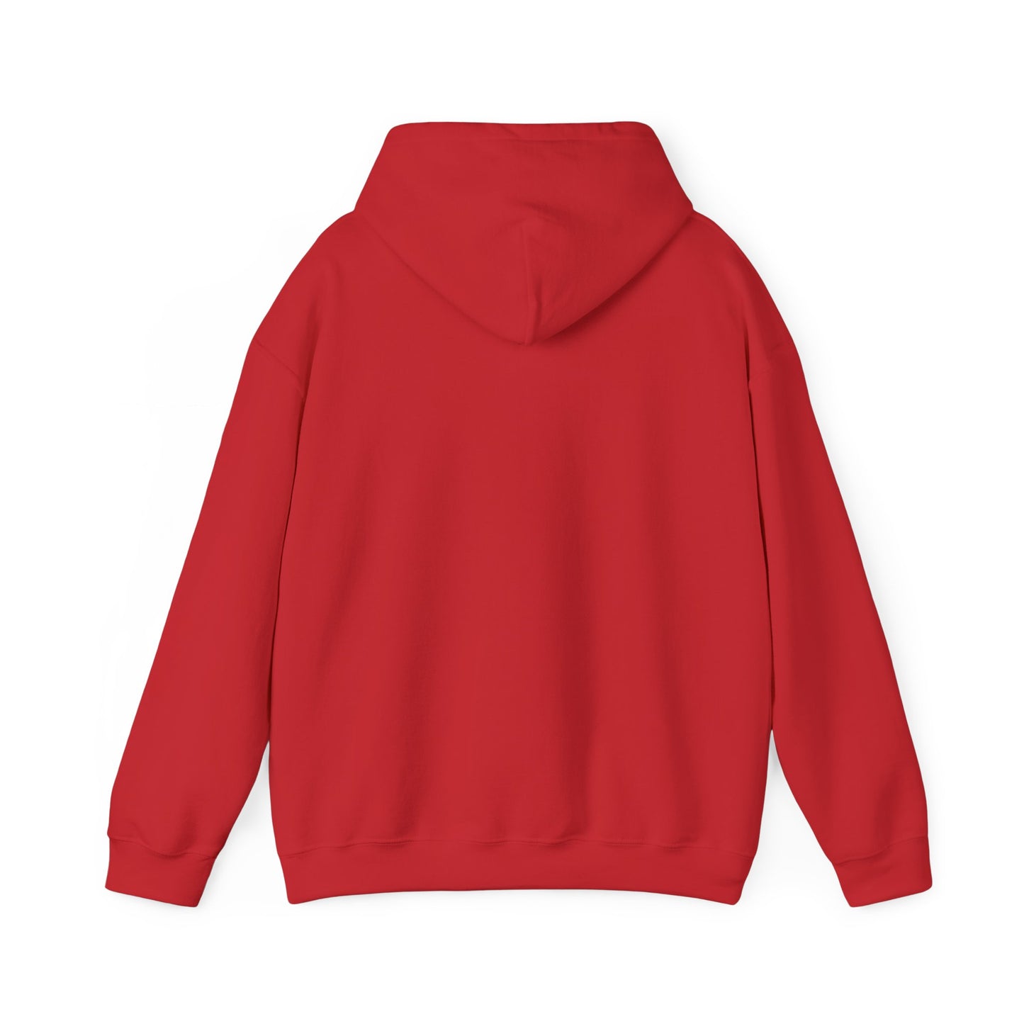 Hoodie — Bearded Racc Co Chillin (Bearded Racc Co)