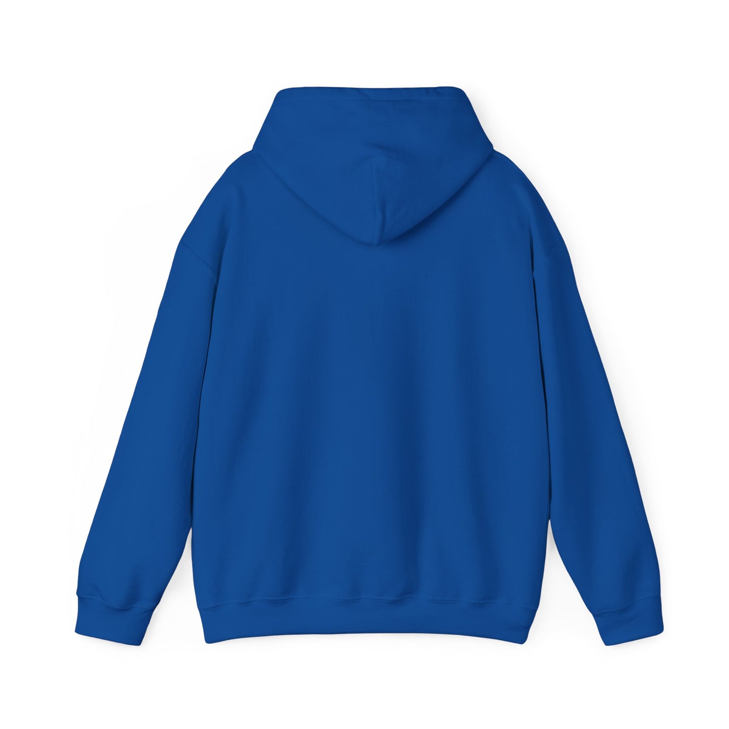 Hoodie — Bearded Racc Co Chillin (Bearded Racc Co)