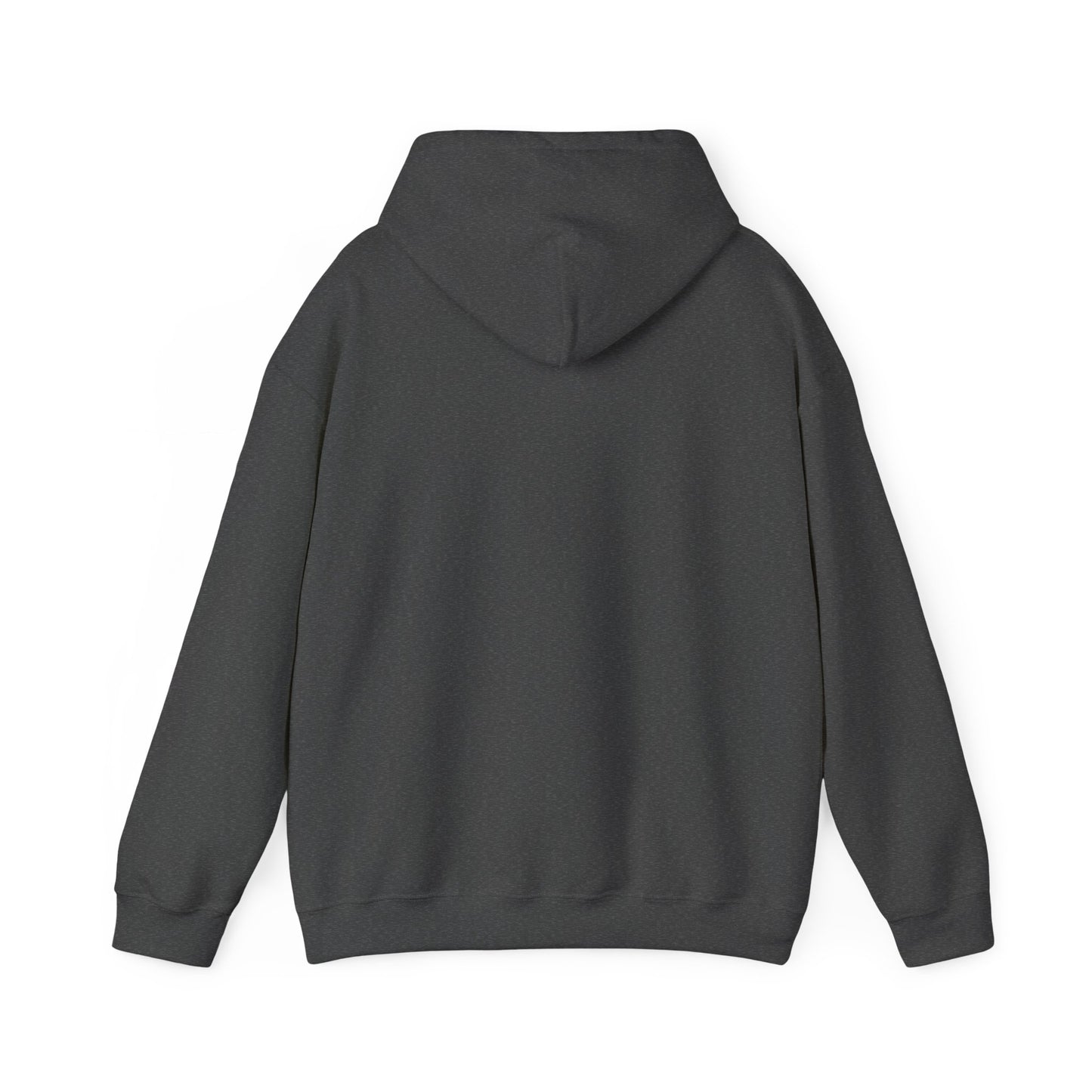 Hoodie — Bearded Racc Co Chillin (Bearded Racc Co)