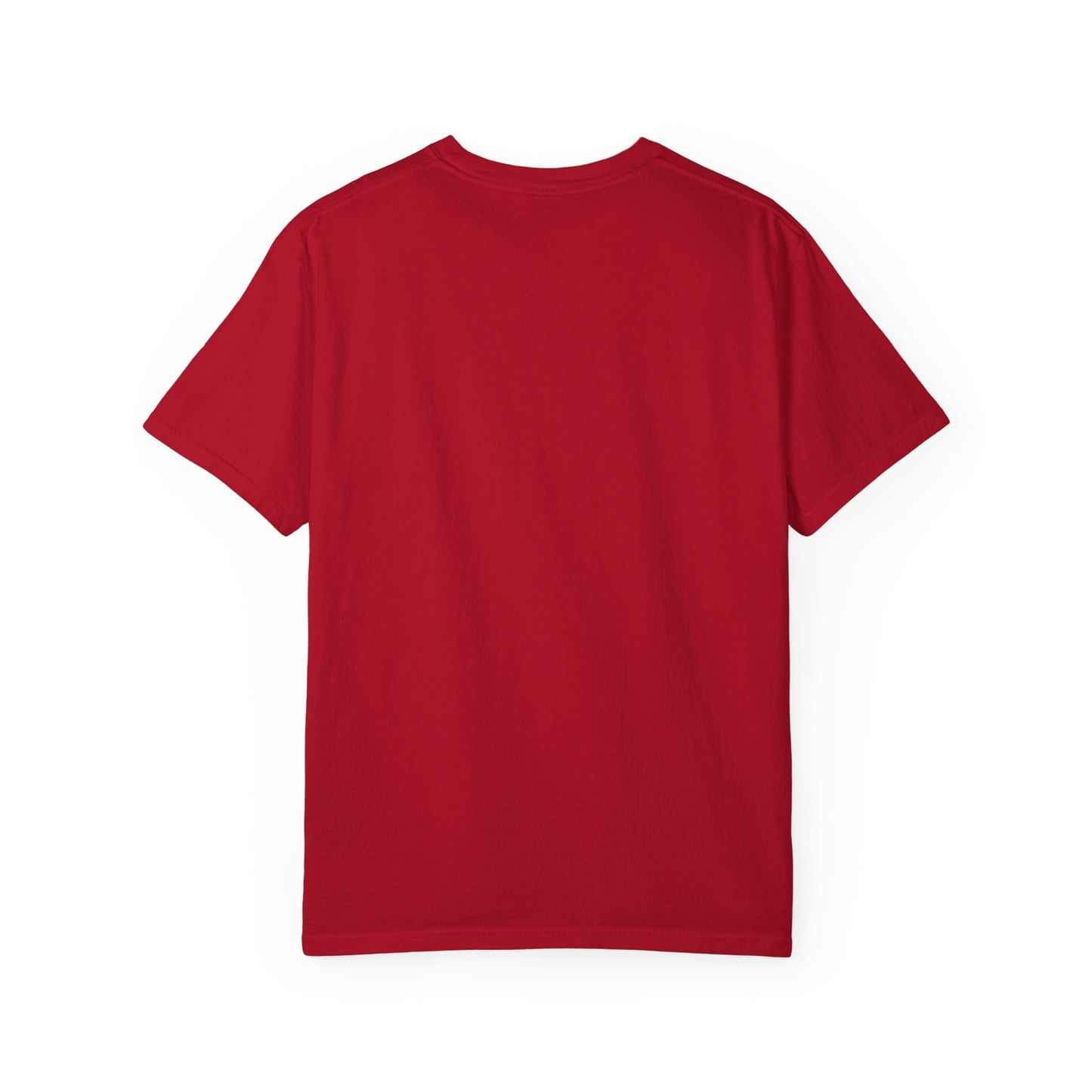 T-Shirt — Stay Feral My Friends (Bearded Racc Co)
