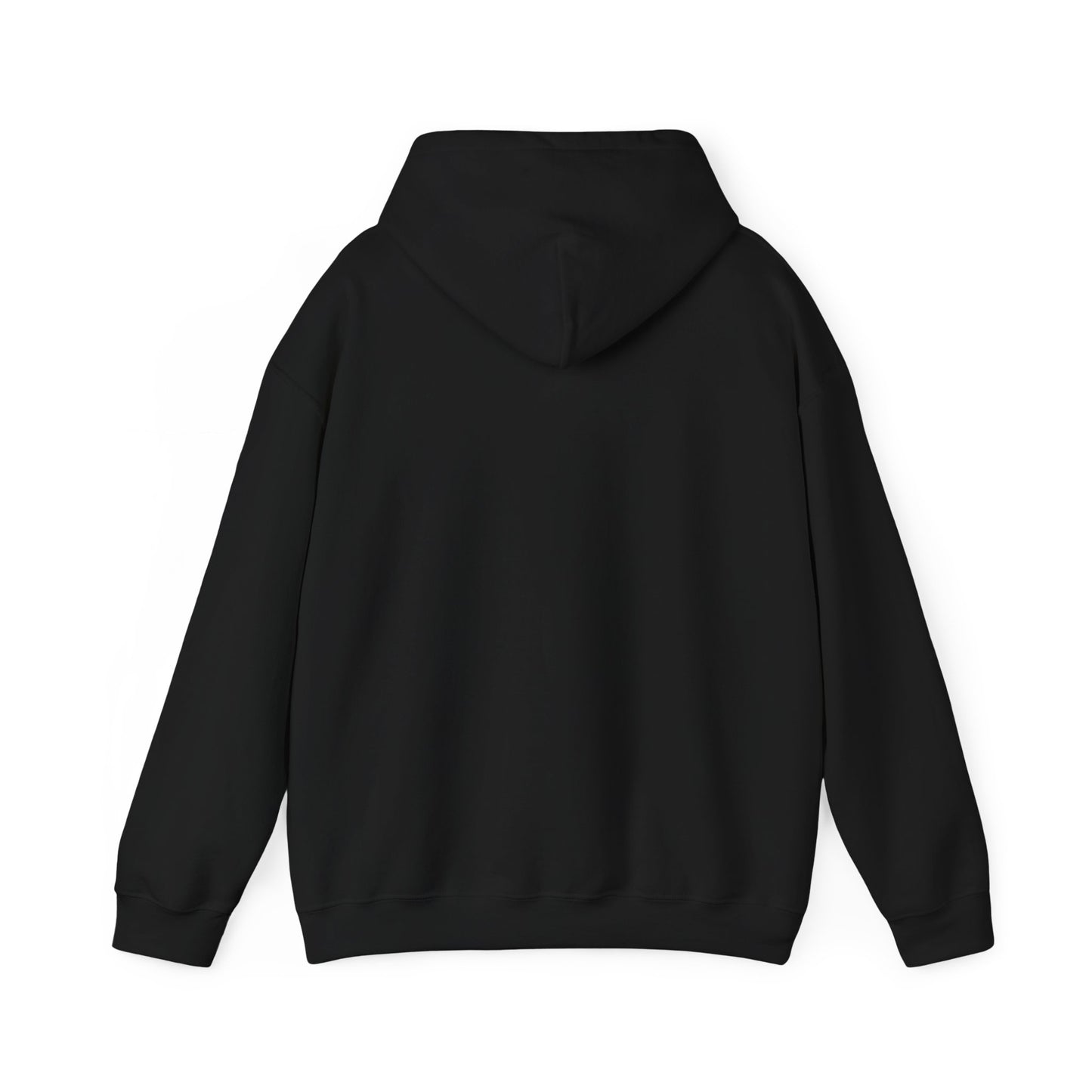 Hoodie — Bearded Racc Co Chillin (Bearded Racc Co)